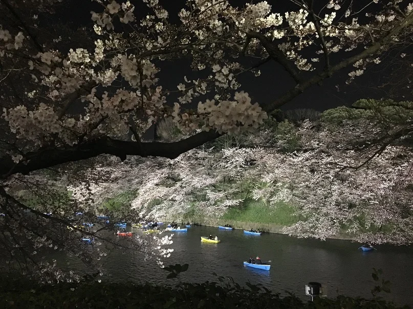 花も団子も♪千鳥ヶ淵