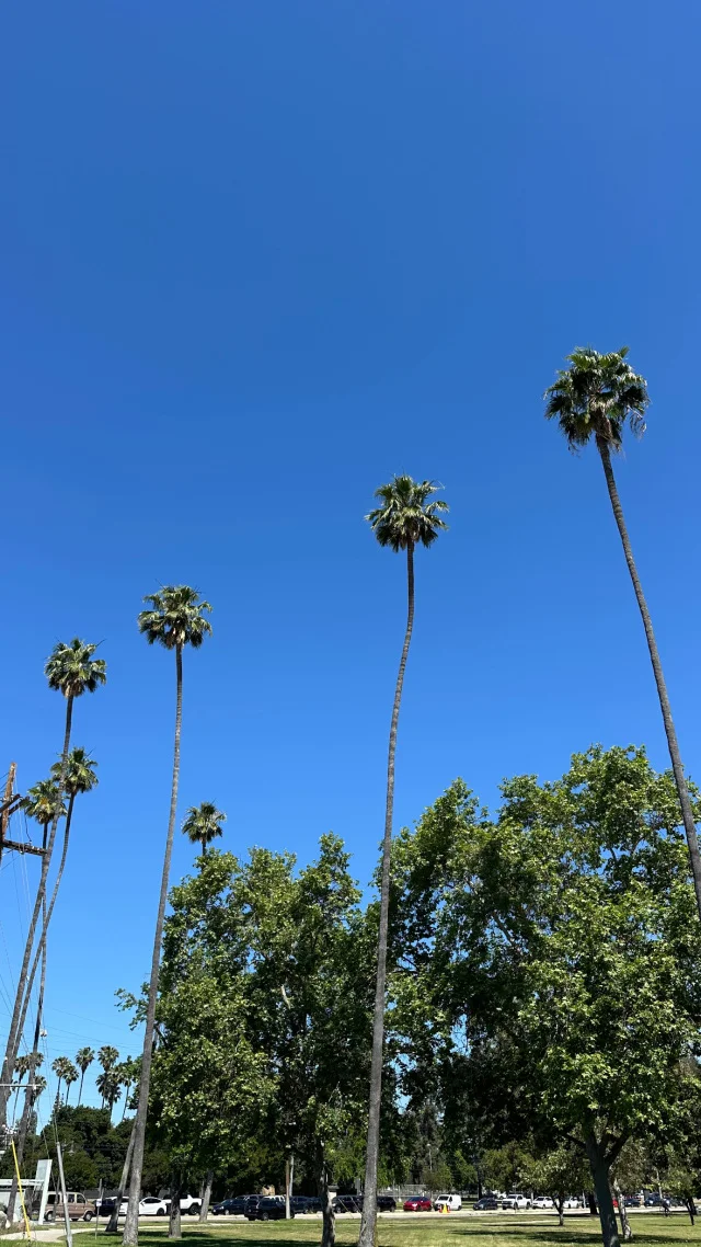 《大人旅》ここが私のAnother Sky!ロサンゼルスです!_1_1