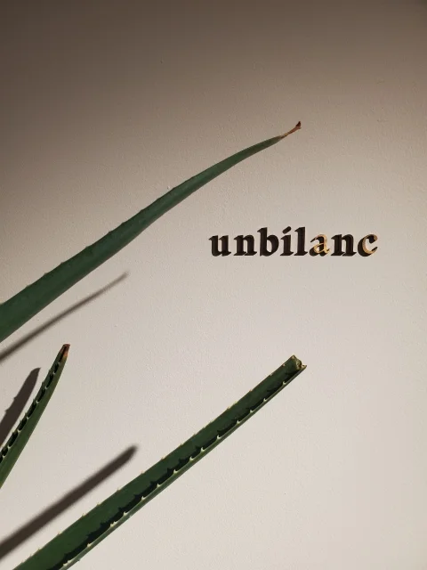 櫛部美佐子がクリエイティブディレクターを務めるunbilanc(アンビラン)南青山サロンで開催された2026年春夏コレクション受注会