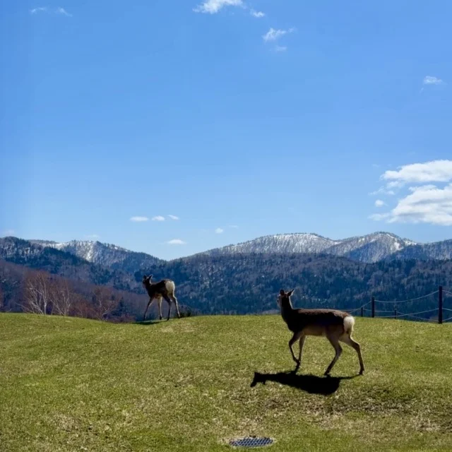 北海道の大自然を全部味わえる“星野リゾート トマム”_1_11