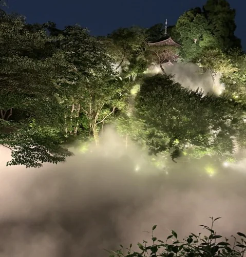 【都心で雲海と蛍鑑賞】友人とホテルディナーをしてきました!_1_8