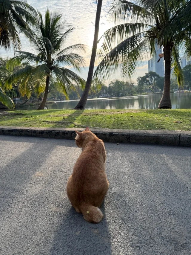 バンコク　ルンピニー公園