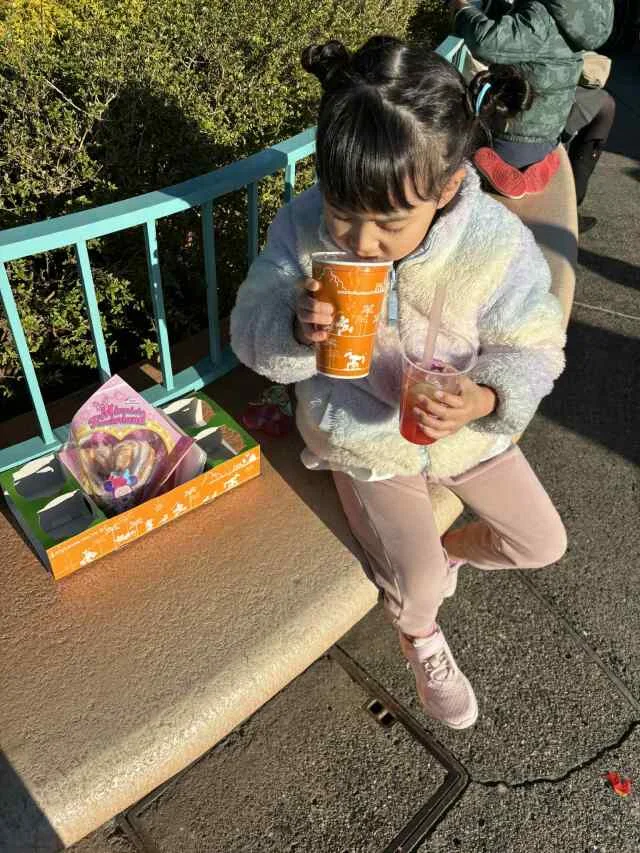 【ディズニーランド初心者＆久々さん向け】大混雑期のお正月子連れディズニー振り返り_1_7-2