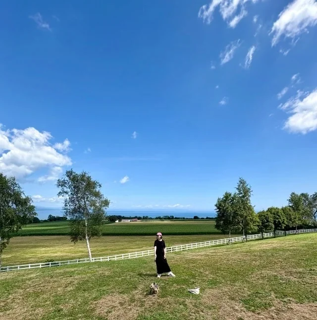 秋の週末旅にぴったり! 北海道・東北・四国・九州で楽しむ絶景&グルメ旅_1_6