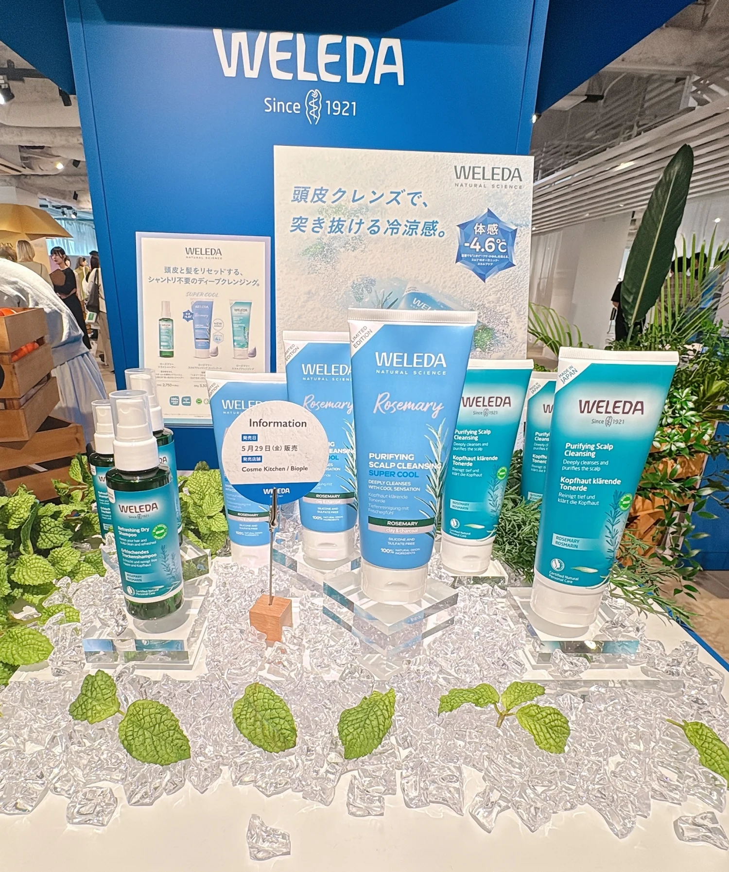 新作コスメ　ヴェレダ　  ローズマリー スカルプクレンジング スーパークール 200g ￥3300＜５月29日（金）数量限定発売＞