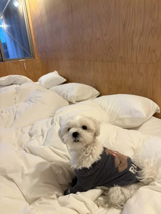 シェア別荘【SANU 2nd Home】お誕生日＆結婚記念日旅行記_1_21-2