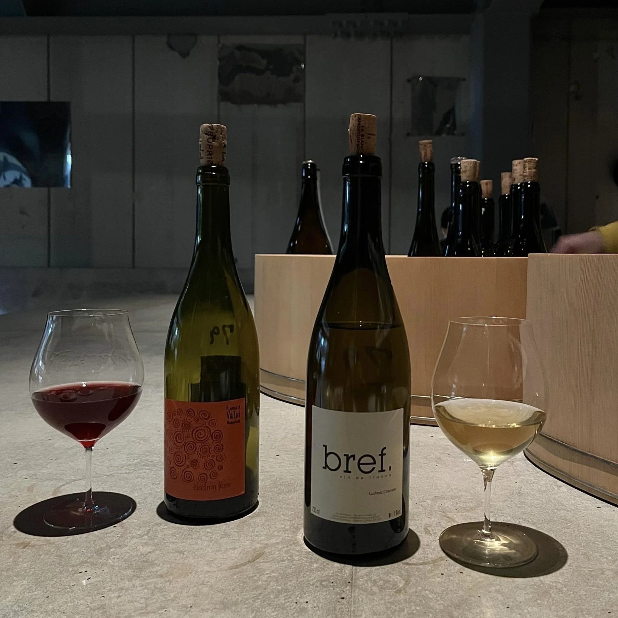 【SENNE】幡ヶ谷にオープンした話題のワイン&amp;ビアバー