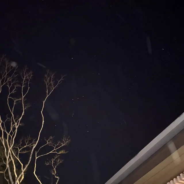 親子で楽しめる♪ザ・リッツ・カールトン日光の旅①〜リッツ・キッズ編〜_1_7-1