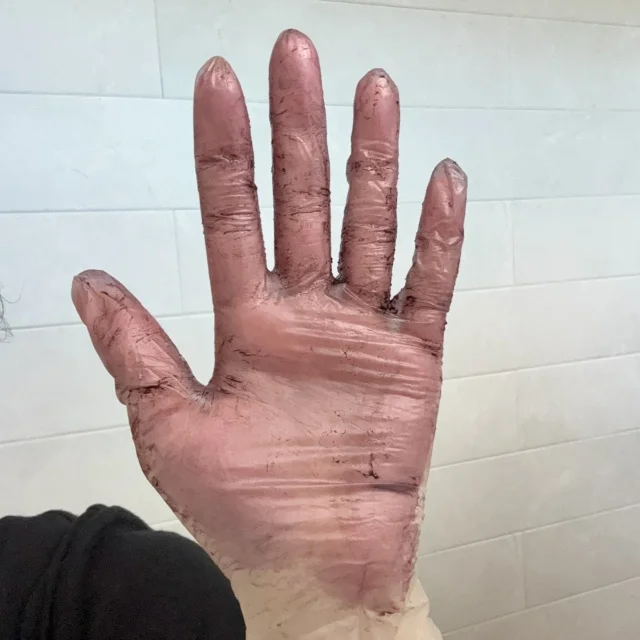 5分で白髪リセット。サイオスのカラートリートメントが優秀すぎる_1_4