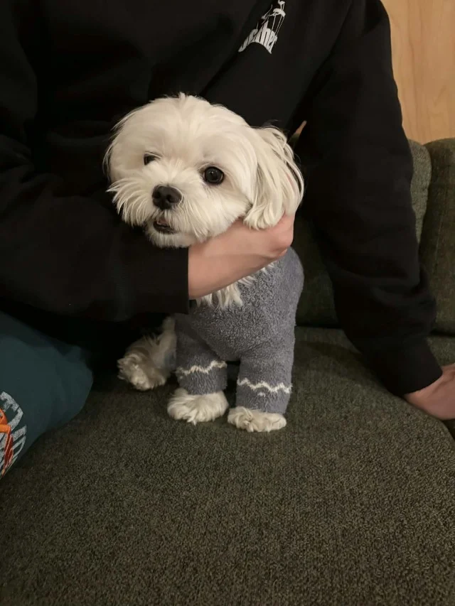 シェア別荘【SANU 2nd Home】お誕生日＆結婚記念日旅行記_1_18-1