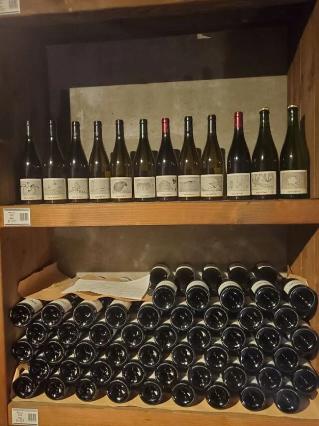 カーヴドッチワイナリーツアー　ワインセラー