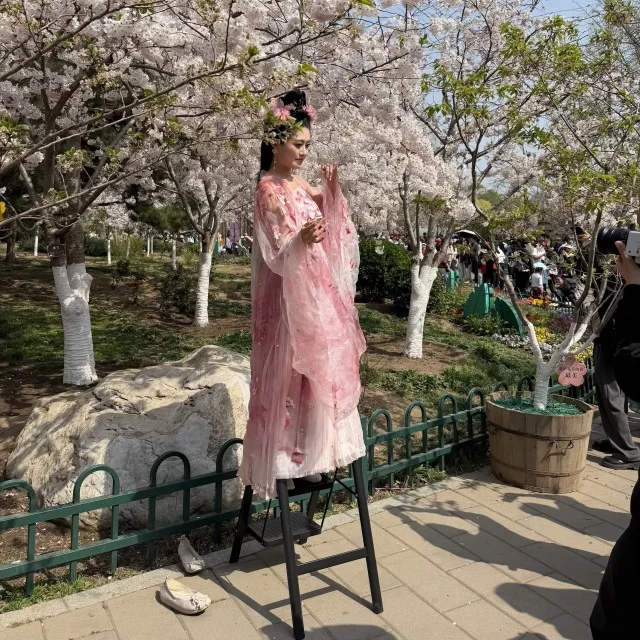 北京の春は一瞬！田中角栄首相が贈った桜に会いに「玉淵潭公園」へ_1_3-1