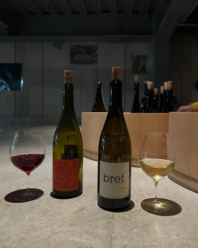 【SENNE】幡ヶ谷にオープンした話題のワイン&amp;ビアバー_1_2