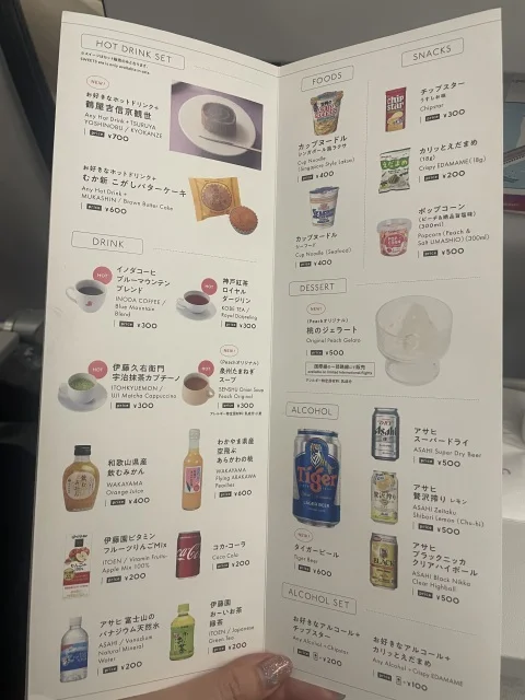 関西発!LCCで行く!子連れシンガポール旅行!【出発前〜機内編】_1_9