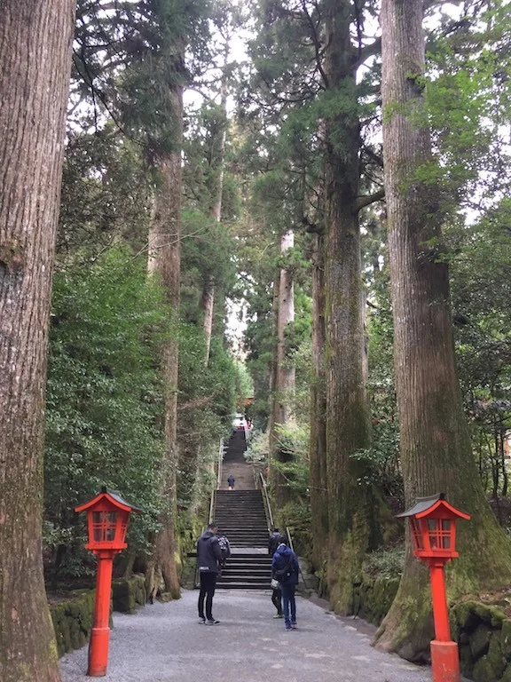 箱根神社とお参りのあとのお楽しみをご紹介します