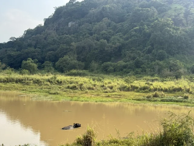 「騙された！ジープサファリで起きた想定外の出来事【スリランカ旅行②】」_1_8