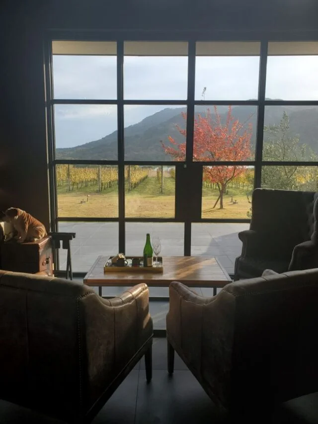 新潟ワイナリーカーヴドッチの宿泊施設トラヴィーニュ、葡萄畑に囲まれた建物