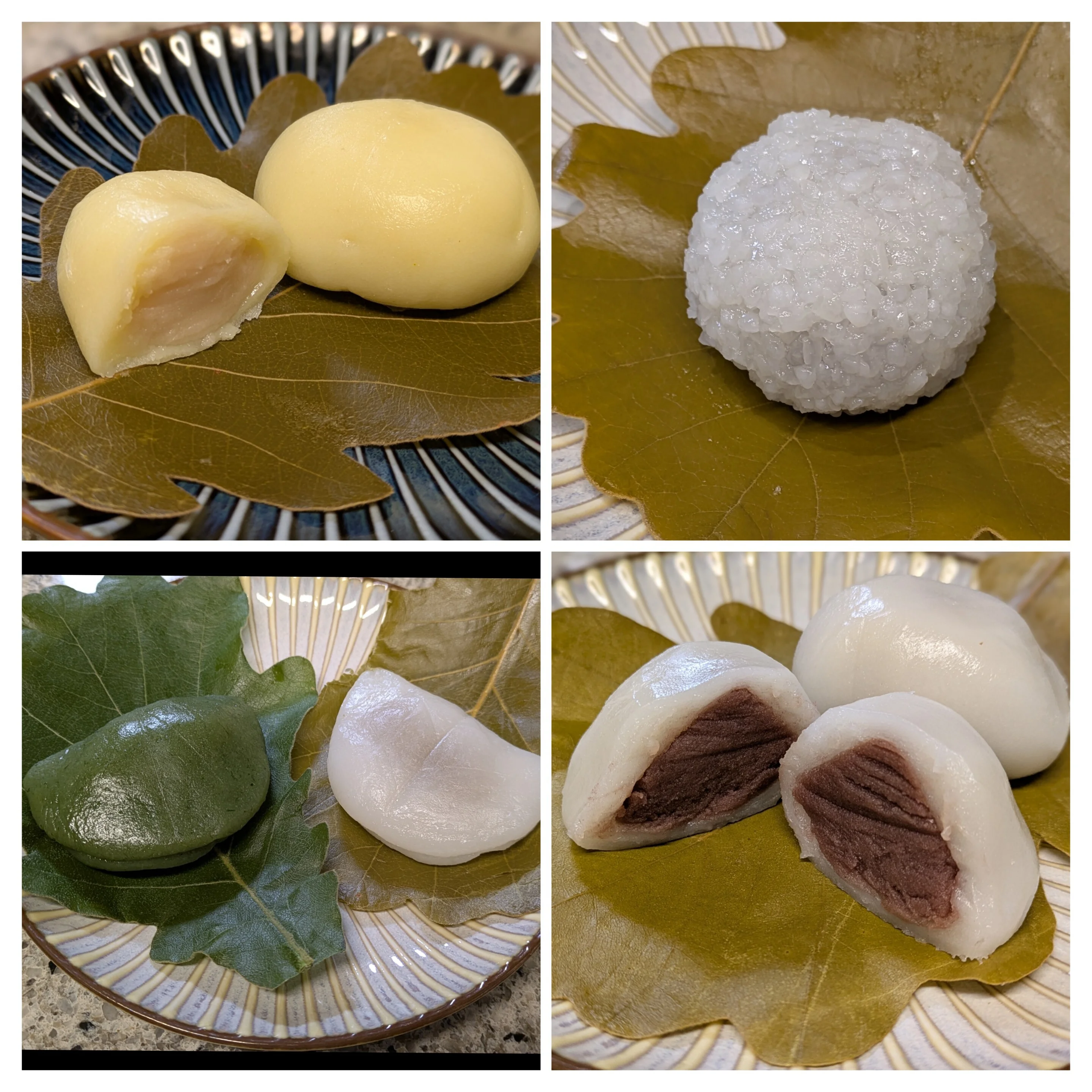 【あん活のススメ⑦】季節の和菓子を食べよう！〜柏餅編〜