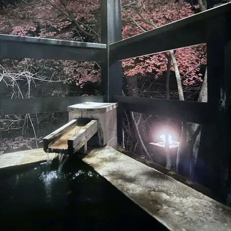 大人の冬旅まとめ。美女組が行ってよかった温泉・美食・海外