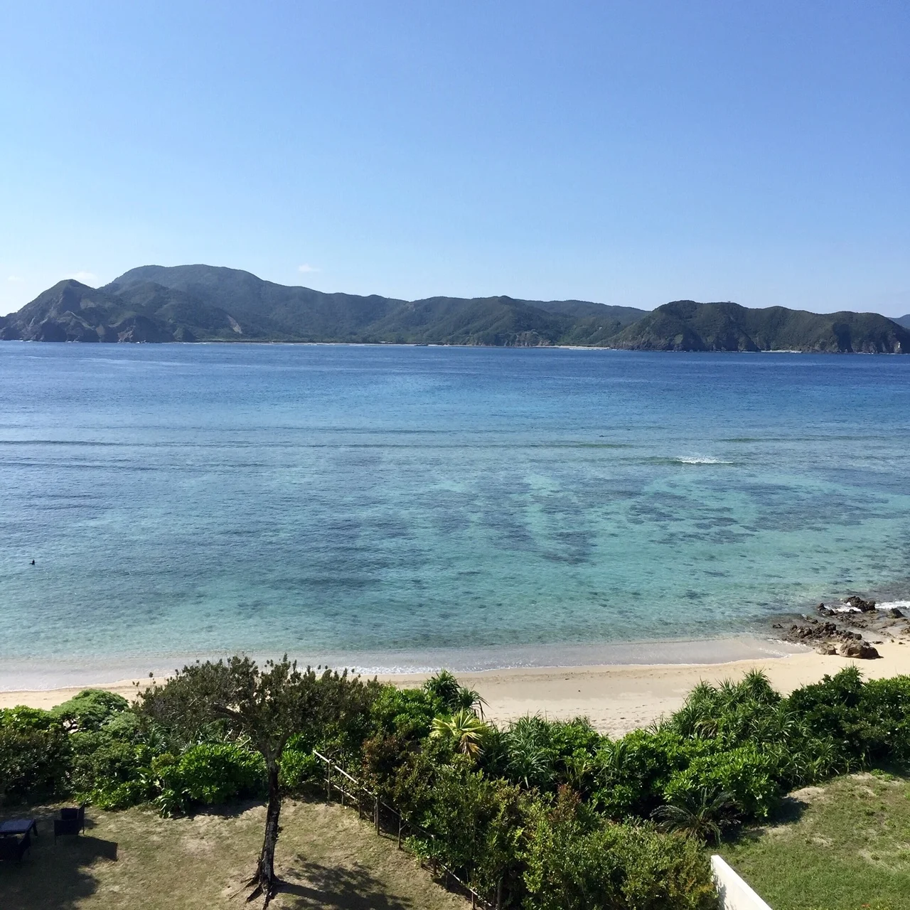 世界自然遺産奄美大島で、心と体をリセットするネイチャークレンズの旅