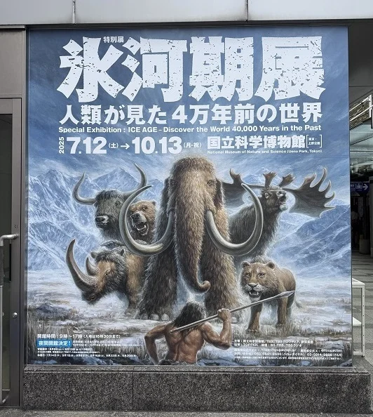 氷河期展