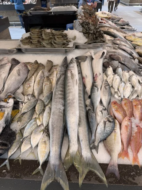 アブダビ アル・ミナ 魚市場
