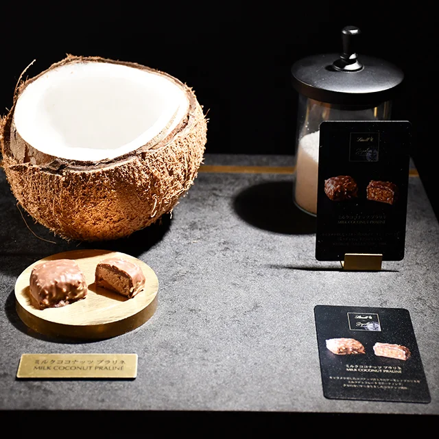 Lindt(リンツ）スイス発チョコレートブランド　プラリネ　メルティーショコラティエ　フランスのチョコレート職人　特別販売　期間限定のチョコレートギフト　手土産セレクション　パーティーのお取り寄せ