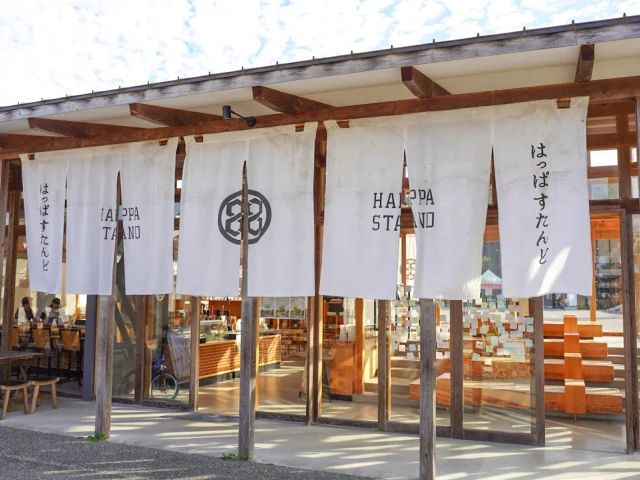 VISON はっぱすたんど