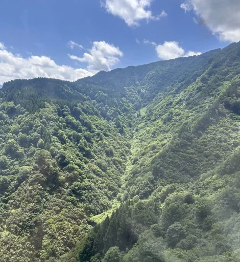 長岡花火に行ってきました_1_3-1