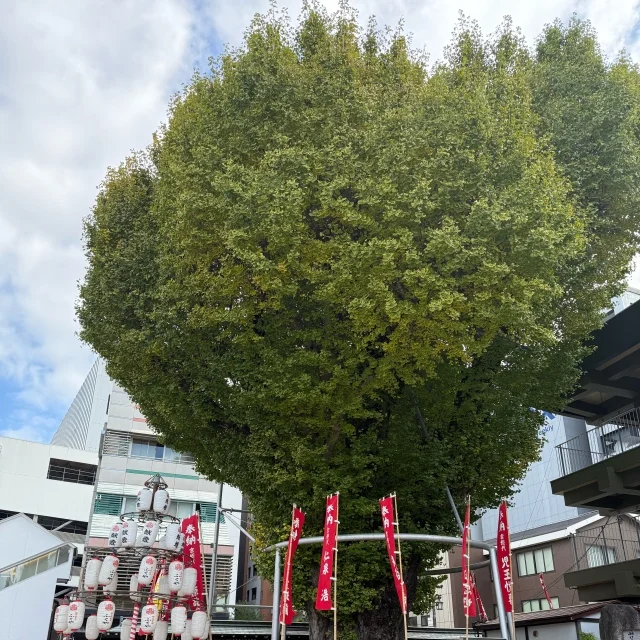 福岡ホテル滞在記！アートで飾られた【クロスライフ博多天神】で、“自分らしい”福岡旅を堪能_1_22-1