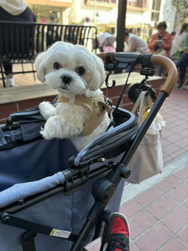 【都内超穴場！カフェ４選】ランチ後“２軒目”にもオススメ♡_1_11-2