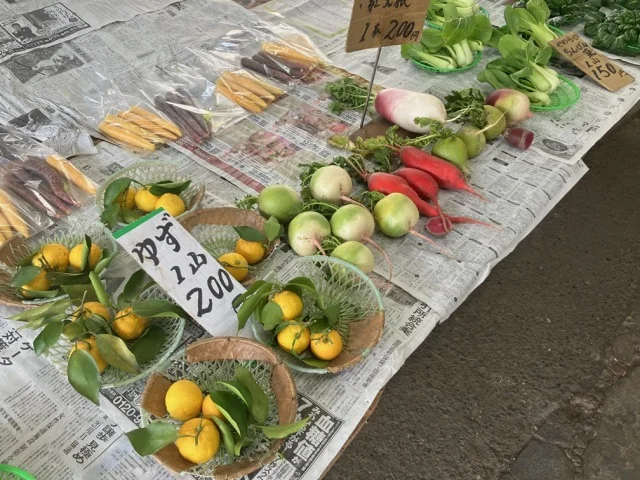 【鎌倉さんぽ】日帰りで大満足！滋味あふれる野菜ランチと老舗を巡る夫婦の休日_1_6