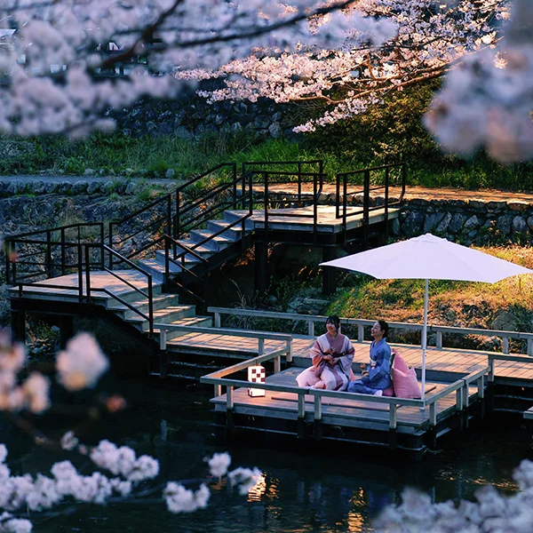 期間限定！ 温泉と桜を満喫できるレアな旅プラン