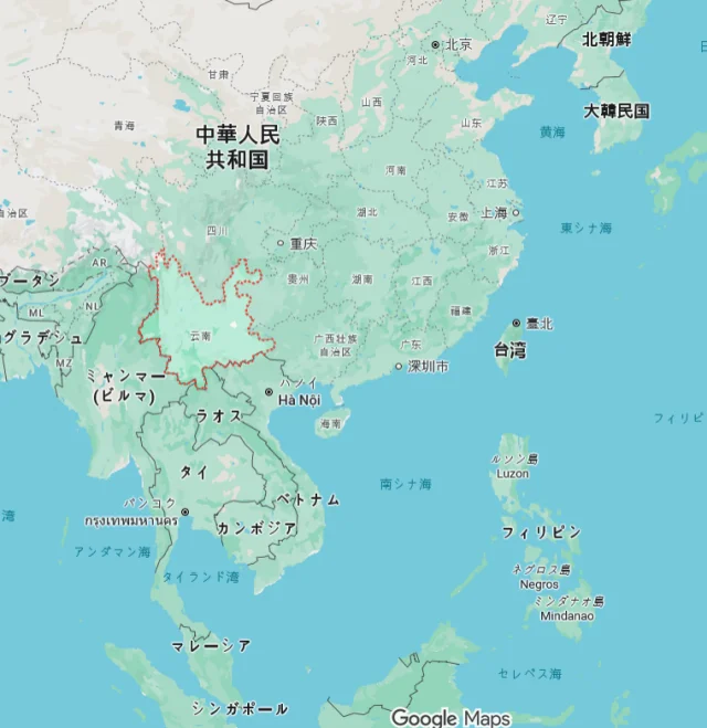 【ガチ中華巡り】珍しいキノコがたっぷり！グルタミン酸が踊る雲南式火鍋を食べてきた。_1_11