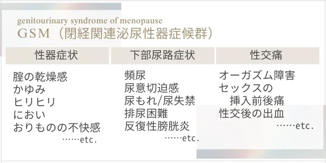 GSM（閉経関連泌尿生殖器症候群）症例の画像