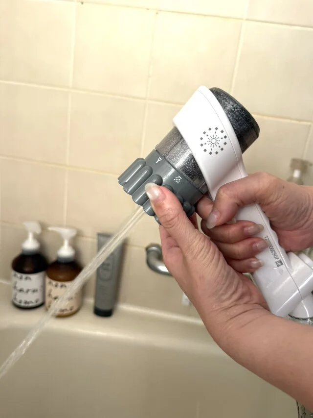 お掃除にも便利な水圧高めの狙い撃ち
