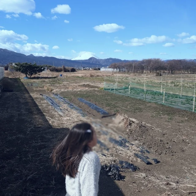 子どもも大人も楽しめる！東京から行く【週末日帰り小田原旅行】プラン_1_9