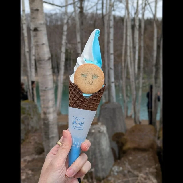 【アイスクリーム】北海道に行ったら食べたい!ミルクの旨味を感じるアイスたち_1_7