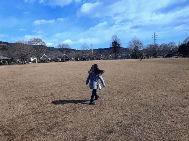 子どもも大人も楽しめる！東京から行く【週末日帰り小田原旅行】プラン_1_10