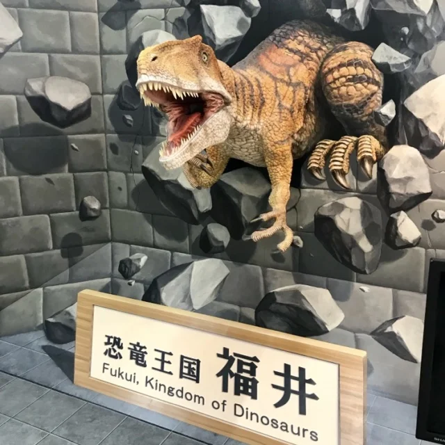 小松空港 福井県立恐竜博物館 勝山 ツアー アクセス 夏休み 発掘