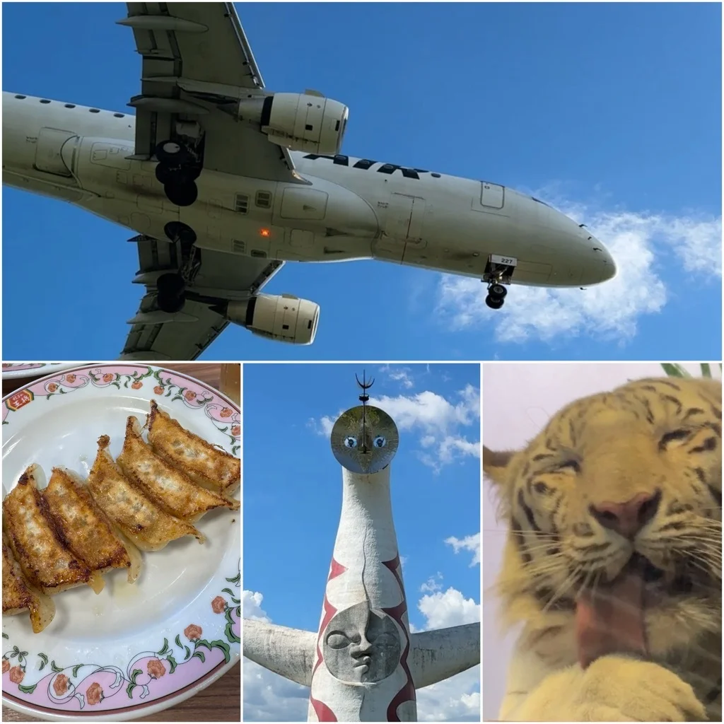 飛行機ウォッチングの聖地、千里川土手へ！太陽の塔にもご挨拶したプチ大阪旅