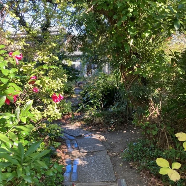 【鎌倉グルメ】緑に囲まれた隠れ家『茶房 空花(そらはな)』の身体整うヘルシー和御膳_1_2-2