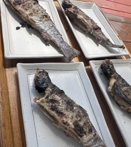 GWは小田原で。家族で楽しむ“釣って・食べて・癒される”休日_1_7