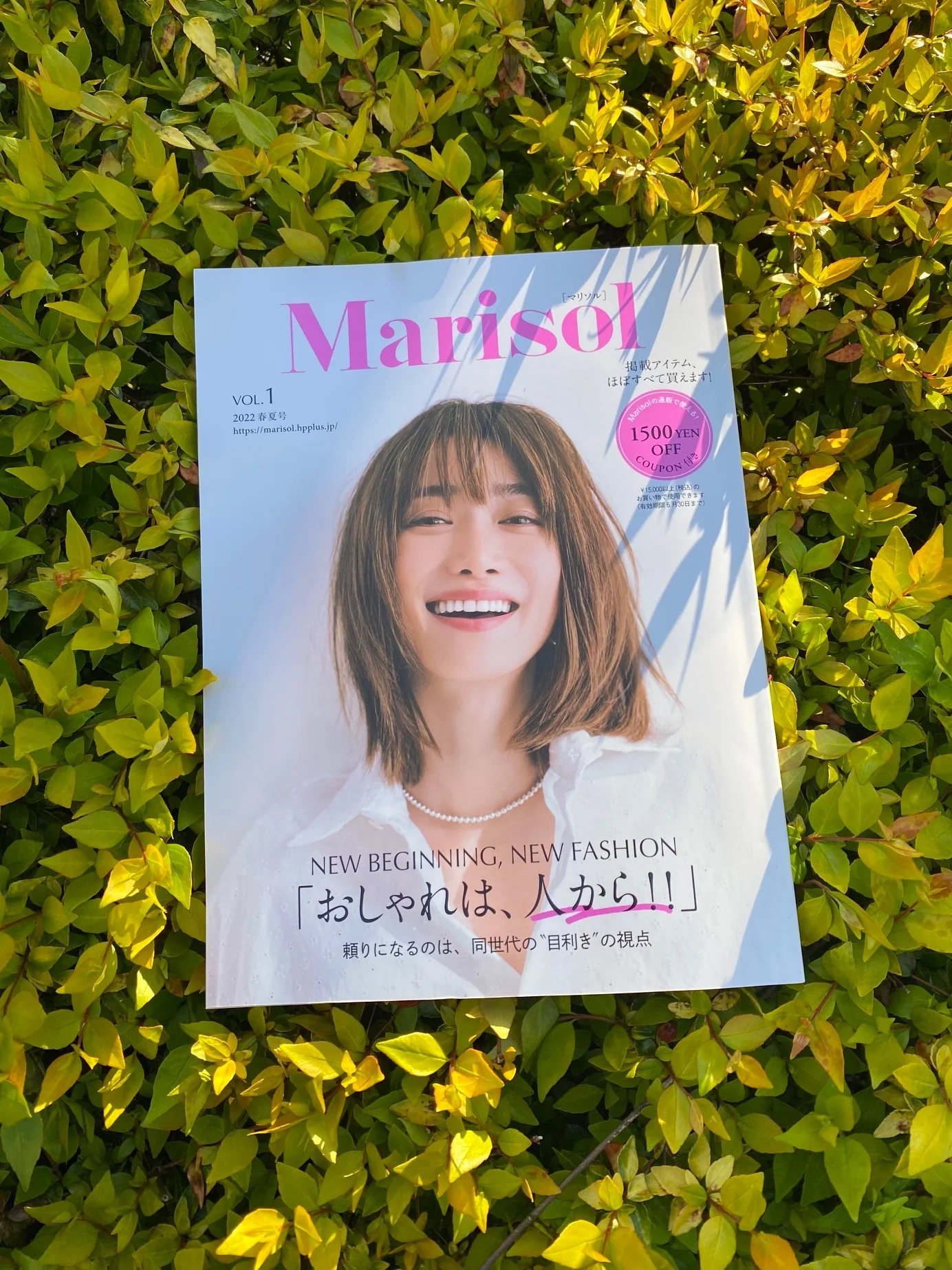 新しい始まり『Marisol』Vol.1