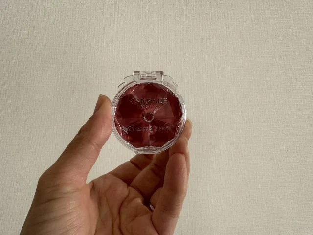 トレンドはプチプラで取り入れる◎普段使いにぴったりなアイテムを見つけました！_1_3