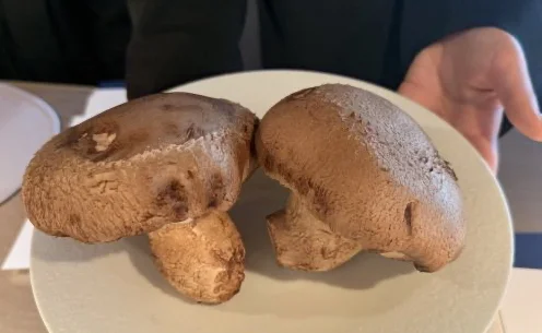 【期間限定】アルマーニ / リストランテに“函館”を味わえるコースが登場！_1_8