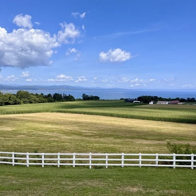 秋の週末旅にぴったり! 北海道・東北・四国・九州で楽しむ絶景&グルメ旅_1_3