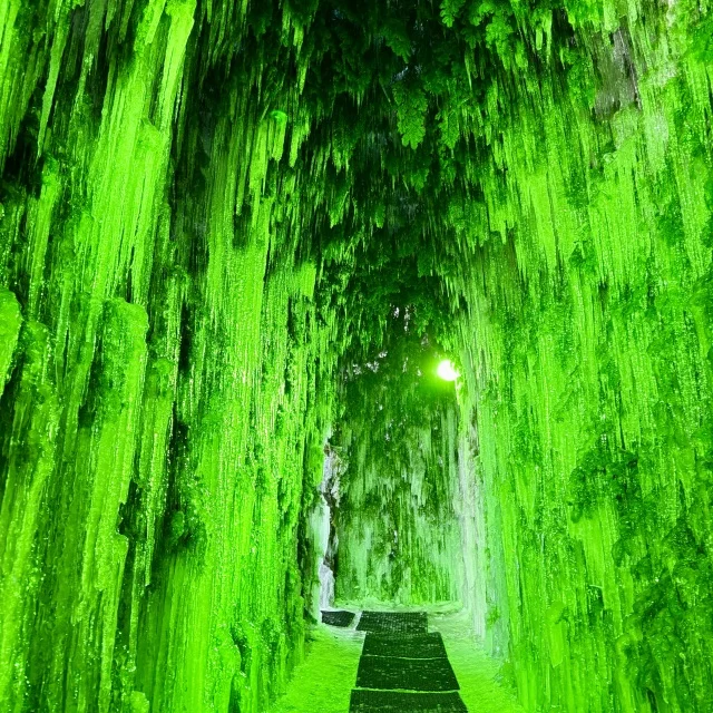 リアルアナ雪の世界へ！自然が織りなす芸術【氷濤 氷の美術館】_1_4