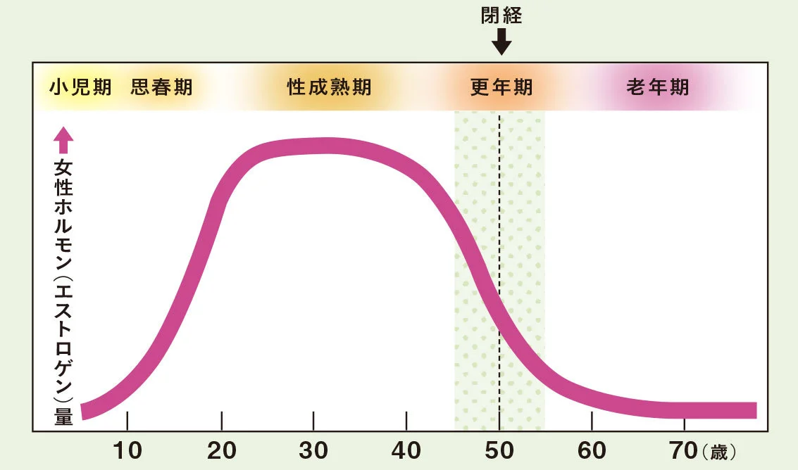 女性ホルモン分泌量の変化グラフ