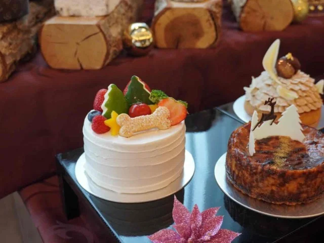 ドッグ用クリスマスケーキ